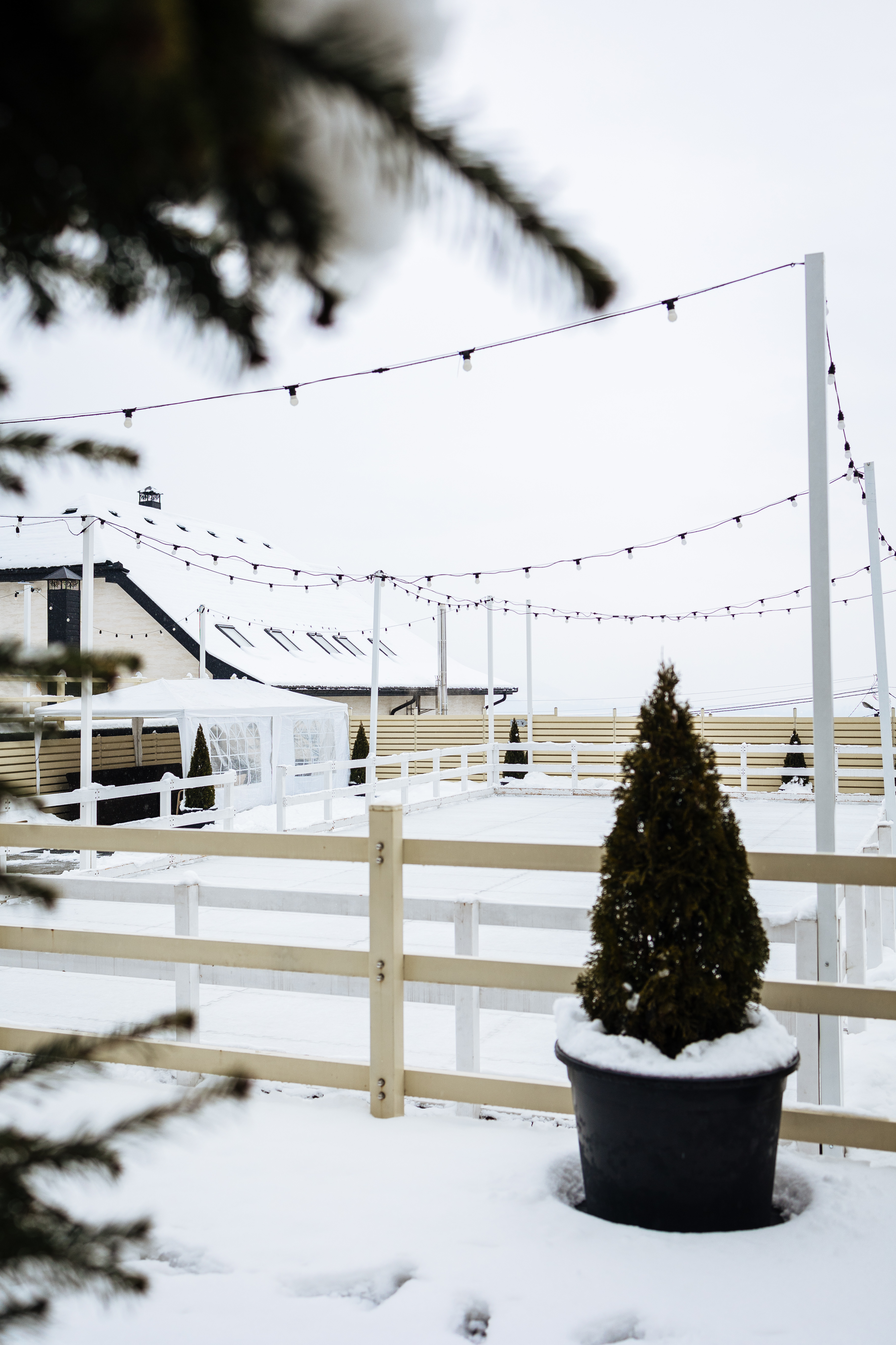 Фото ковзанки