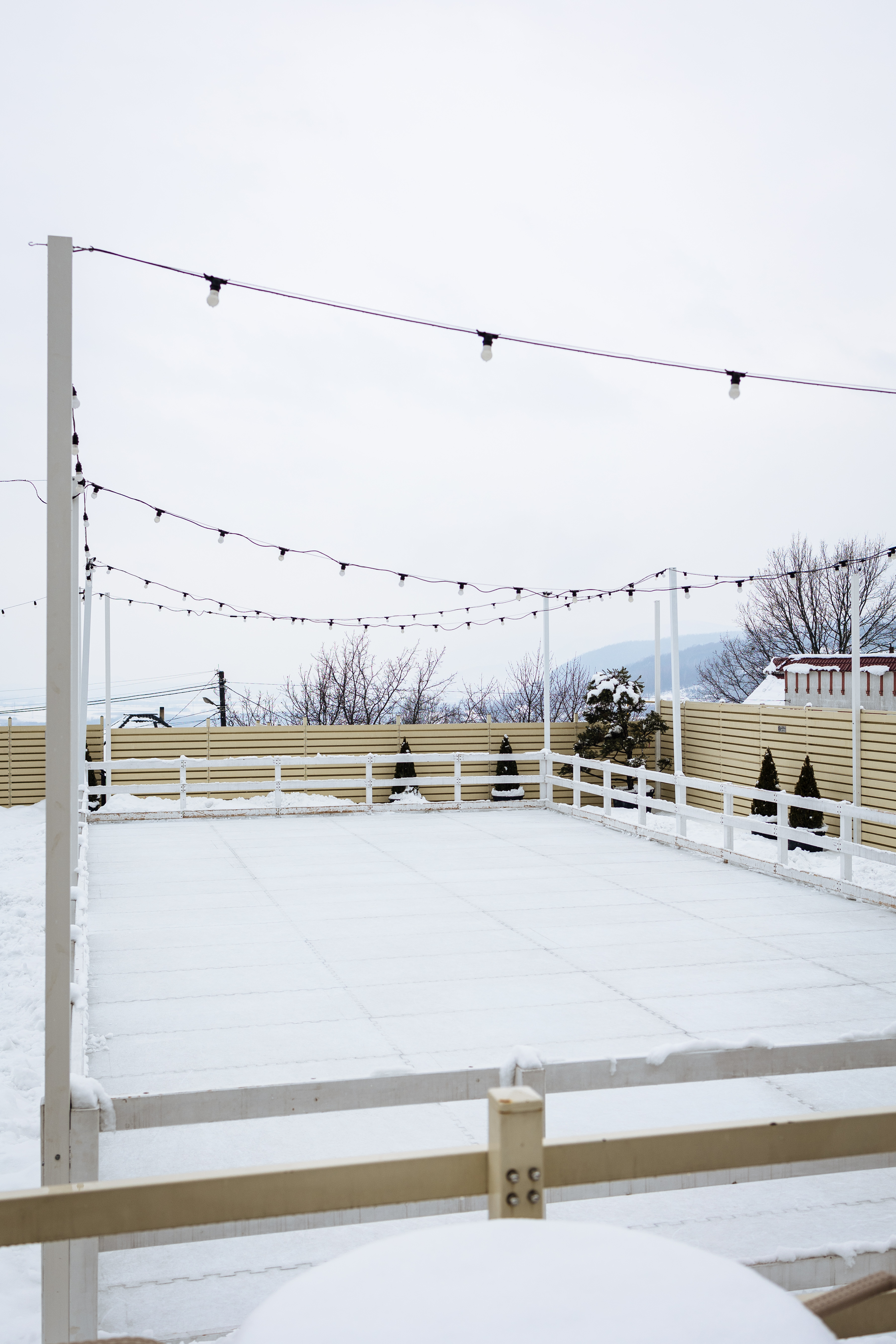 Фото ковзанки